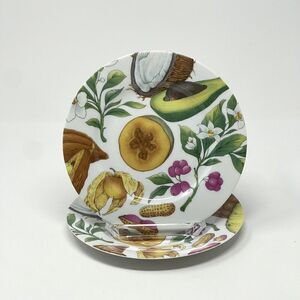 Vintage Rochard Limoges Tropical Fruit Dessert Side Plates 7.25” Set Of 2